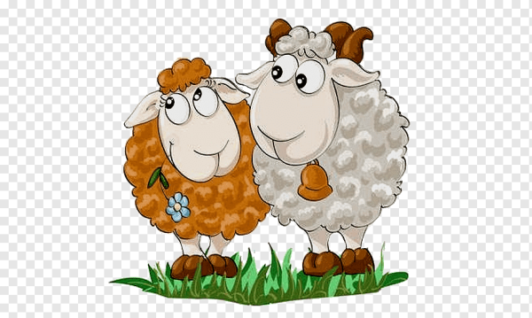 Овечка рисунок