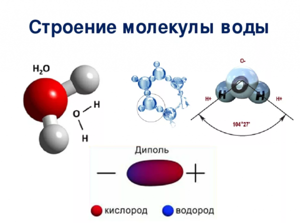 Структура формулы молекулы воды