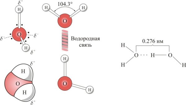 Электронное строение молекулы воды схема