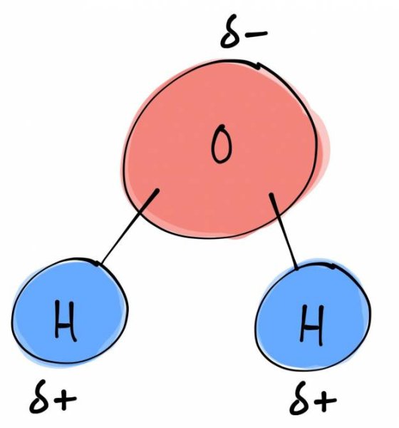 Молекула воды н2о