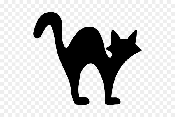 Силуэт кота на Хэллоуин