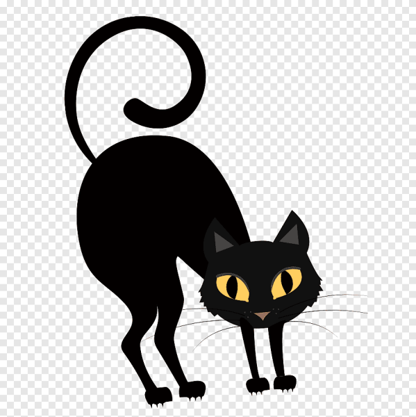 Черный кот Хэллоуин