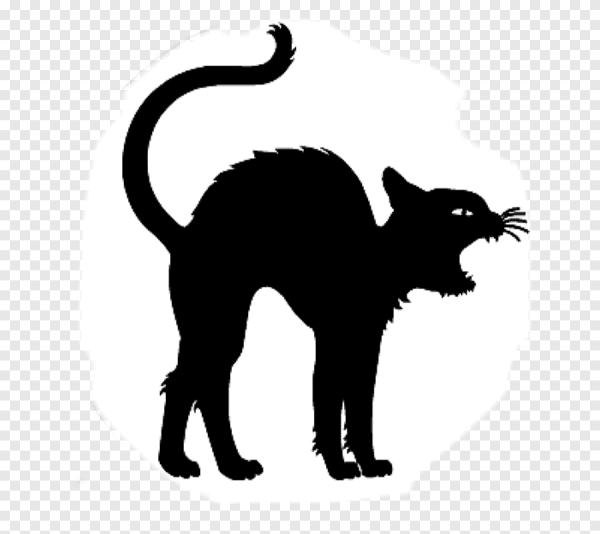 Силуэт кота на Хэллоуин