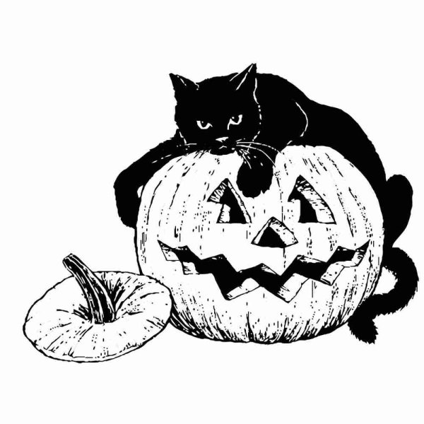 Раскраски на Хэллоуин с котами