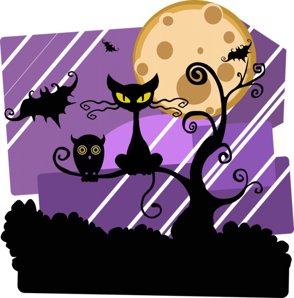 Хэллоуин кошка