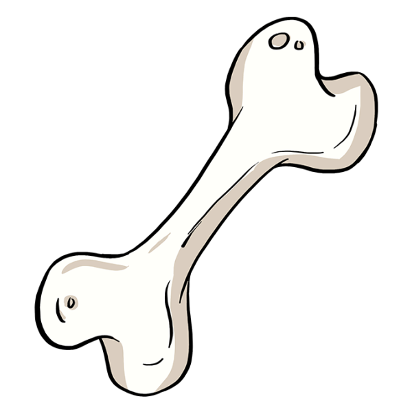 Кости для раскрашивания