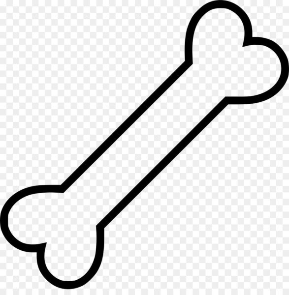 Кость нарисованная