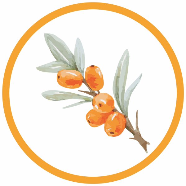 Облепиха логотип