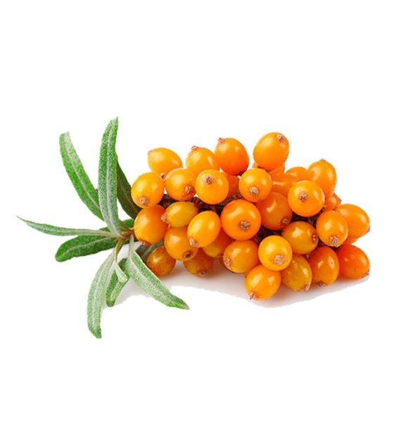 Табак облепиха