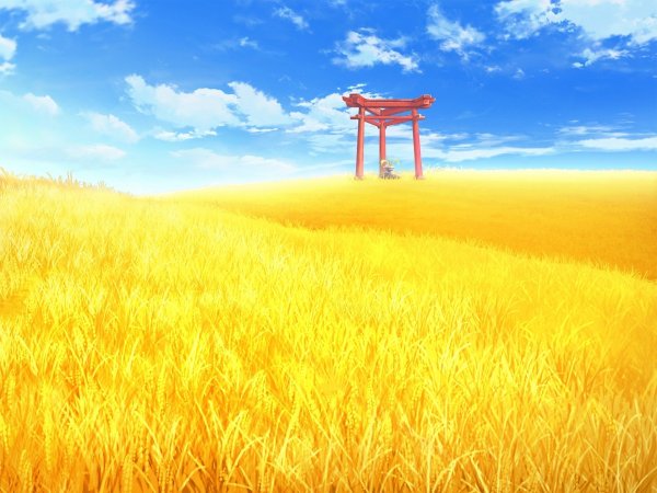 Пшеничное поле