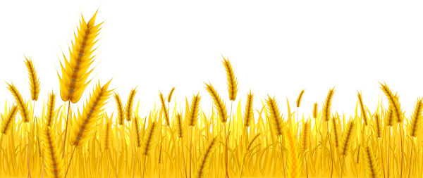 Полоски для колосьев