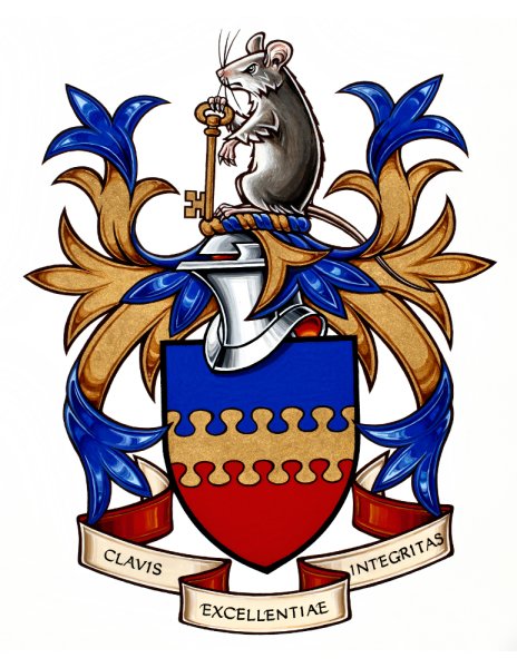 Изображение рыцарских гербов