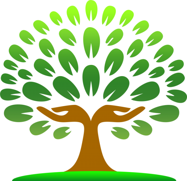 Шежере родословная