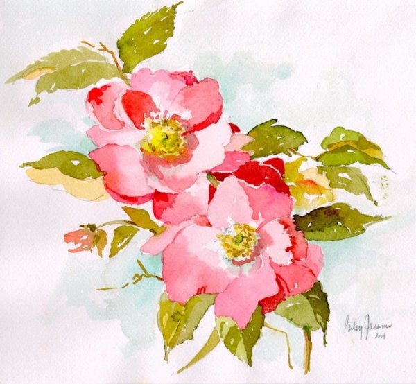 Цветы шиповника акварель
