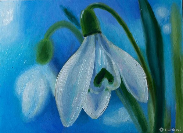 Подснежники гуашью