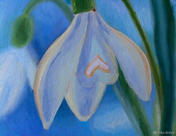 Подснежники красками