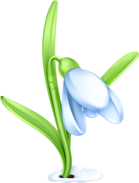 Подснежники на прозрачном фоне