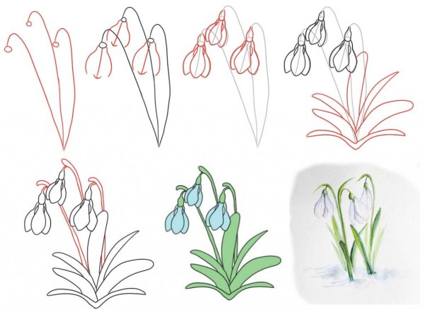 Подснежники рисунок