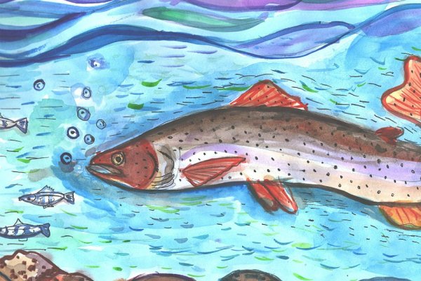 Рисунки о Хабаровском крае