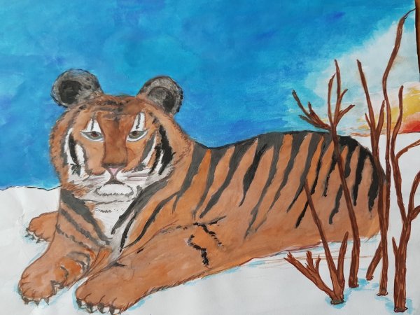 Тигр рисунок