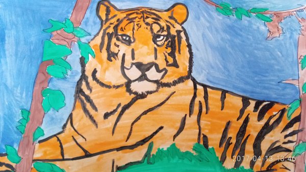 Амурский тигр детские рисунки