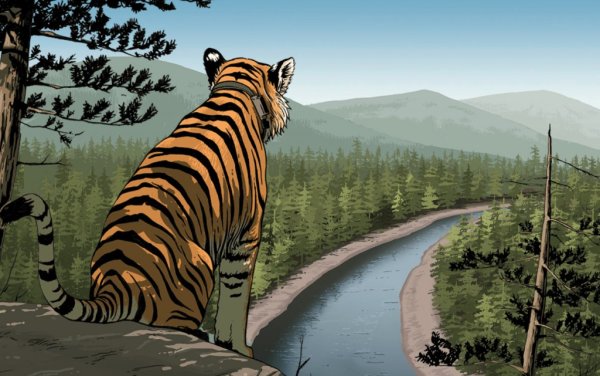 Тигр в тайге картина