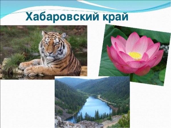 7 Чудес Хабаровского края