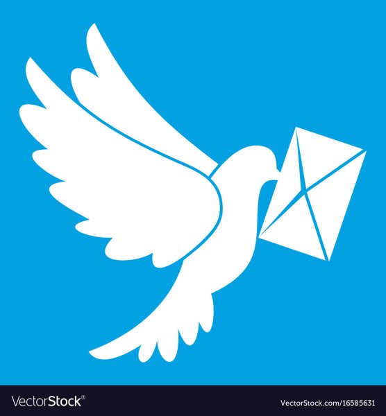 Почтовый голубь