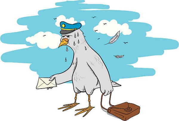 Голубь почтальон