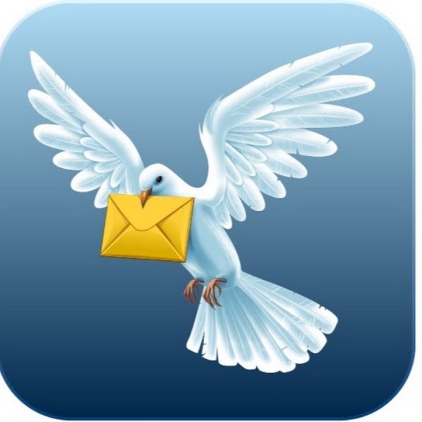 Птица с конвертом