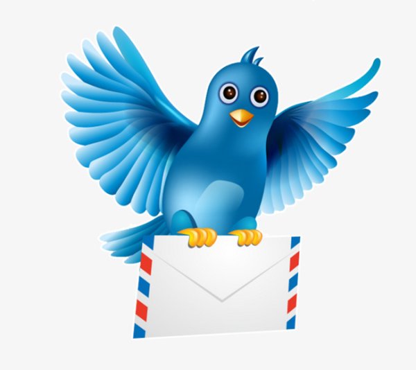 Почтовый голубь