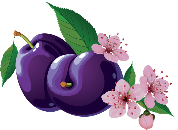 Слива мультяшная