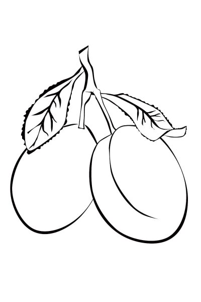 Фрукты. Раскраска