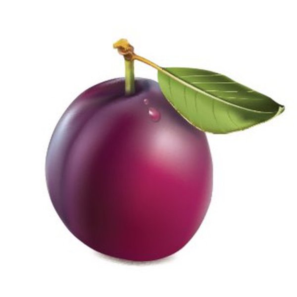 Слива на белом фоне