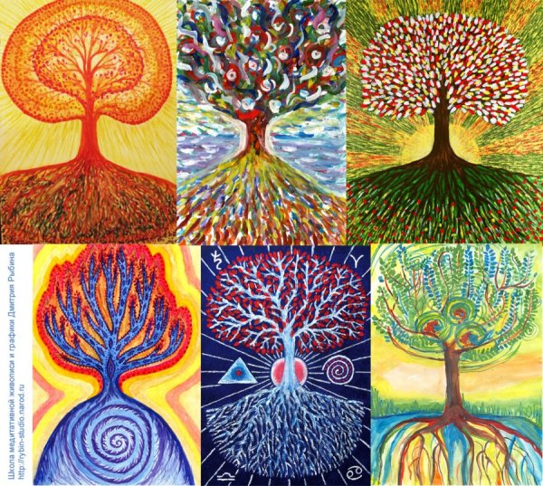 Древо жизни Дарвина