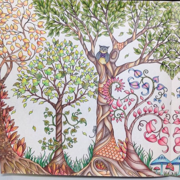 Заколдованный лес Джоанна Басфорд