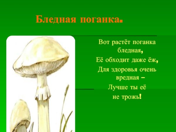 Бледная поганка для детей