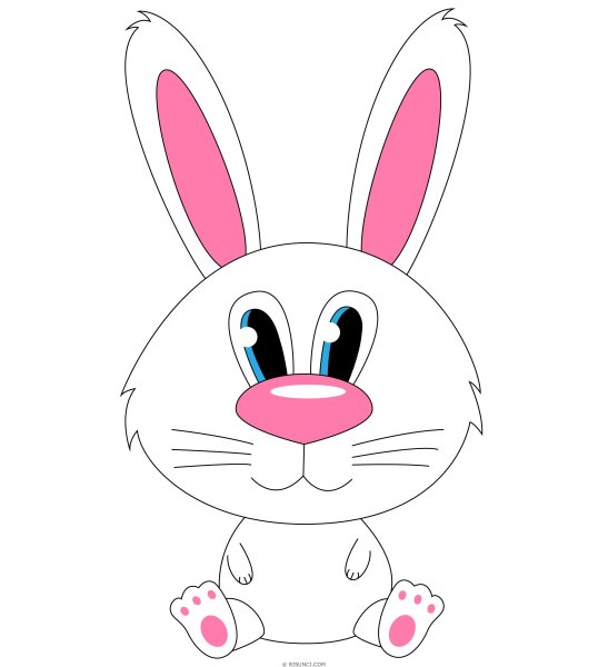 Мордашка зайца