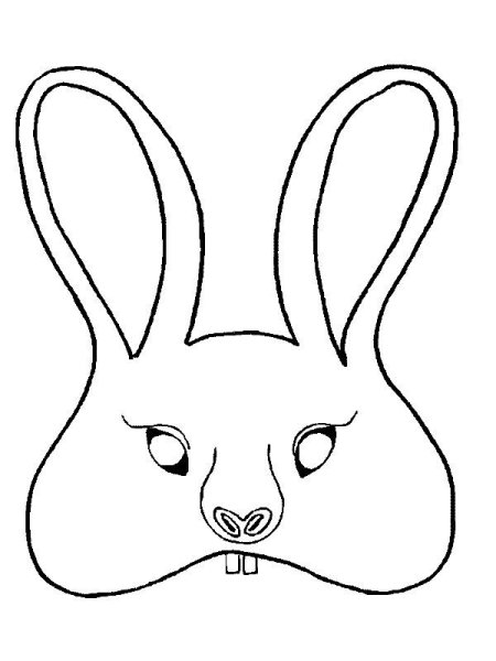 Мордашка зайца