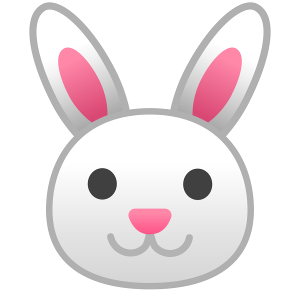 Мордочка зайца