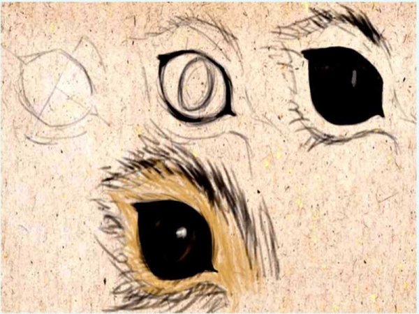 Глаза зайца нарисовать