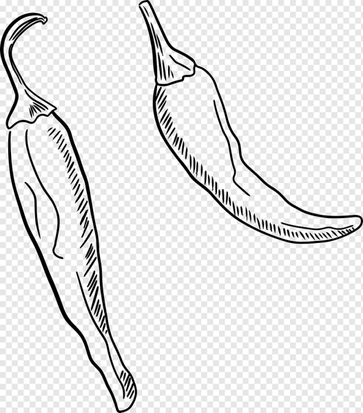 Перец Чили вектор