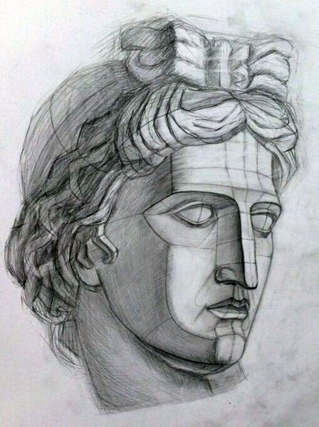 Аполлон Бельведерский голова рисунок