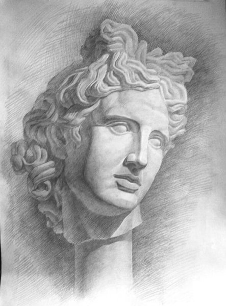 Аполлон Бельведерский голова гипс