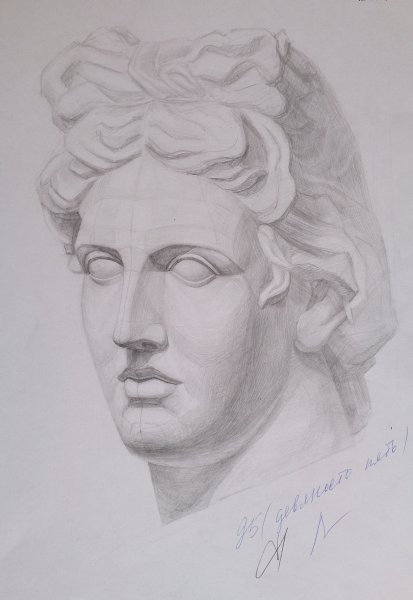 Гипсовая голова Аполлона