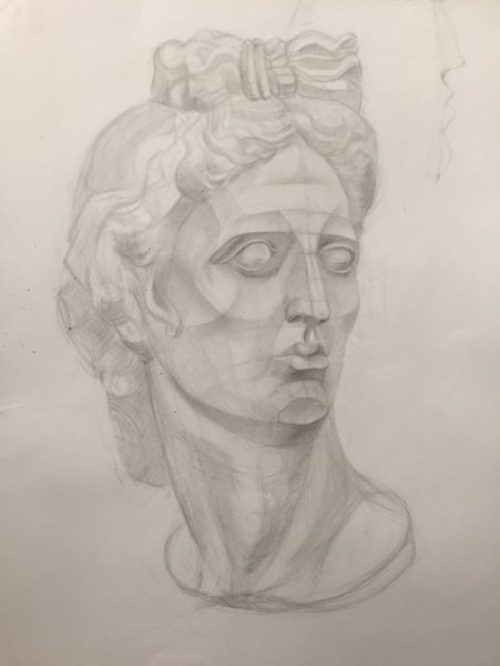 Гипсовая голова Аполлона Академический рисунок