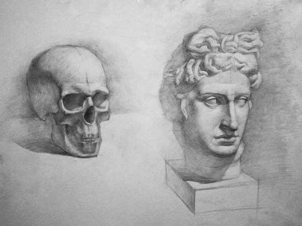 Гипсовая голова Аполлона