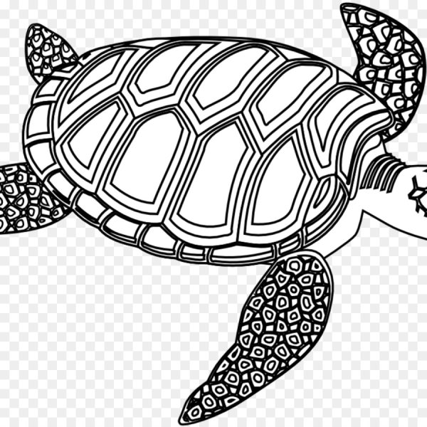 Черепаха сухопутная вектор чб сбоку