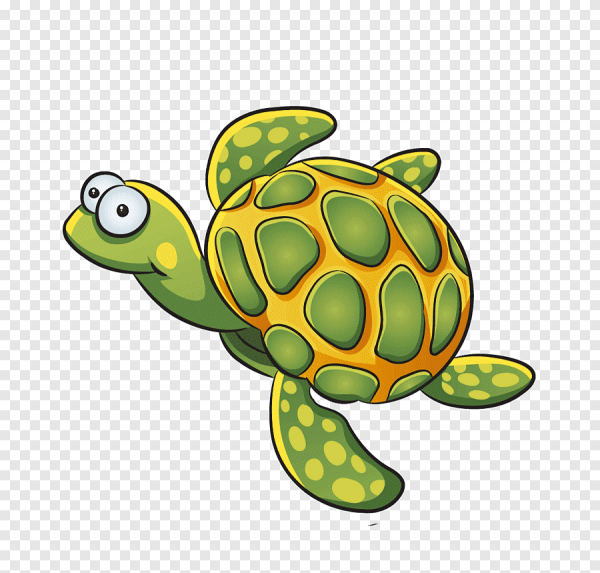 Мультяшные черепахи