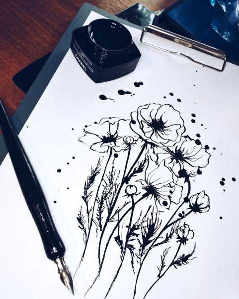 Иллюстрации чернилами